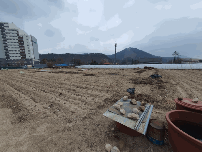 2026타경50100 사진