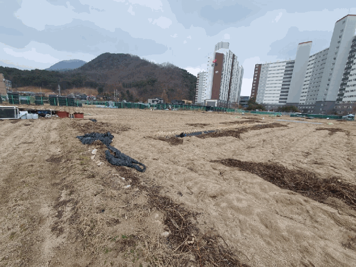 2026타경50100 사진