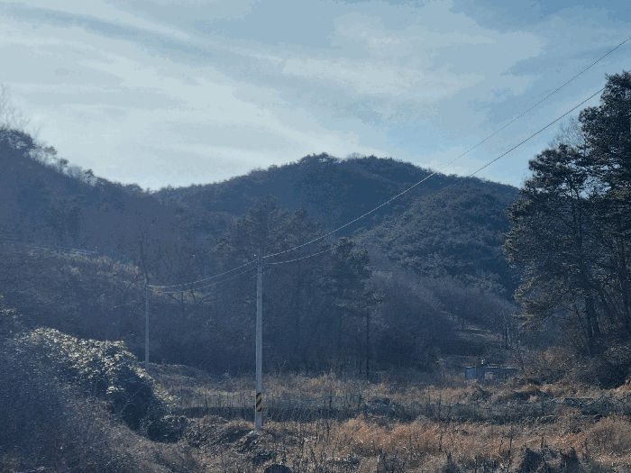 2026타경50115 사진