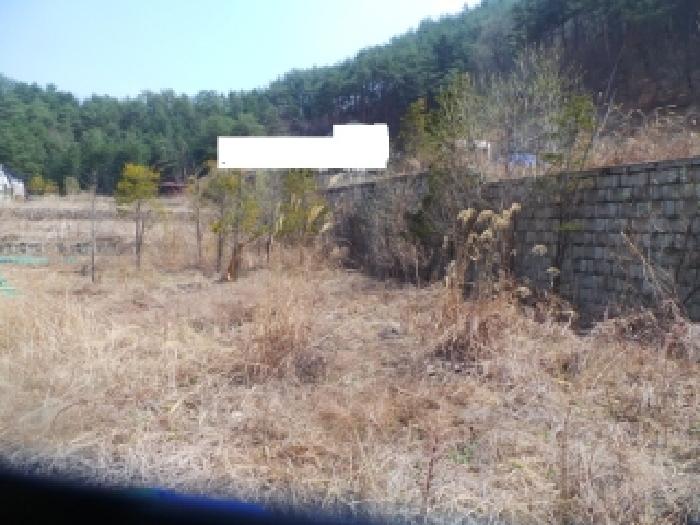 2026타경50124 사진