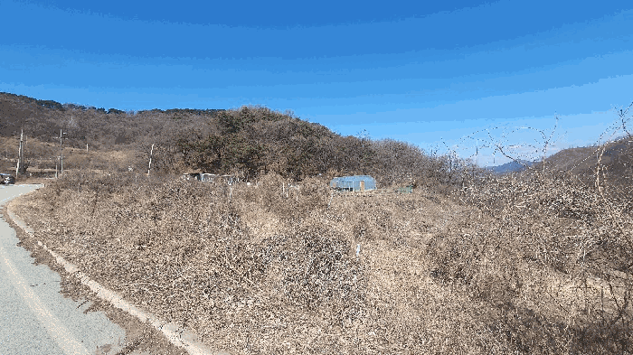 2026타경50126 사진