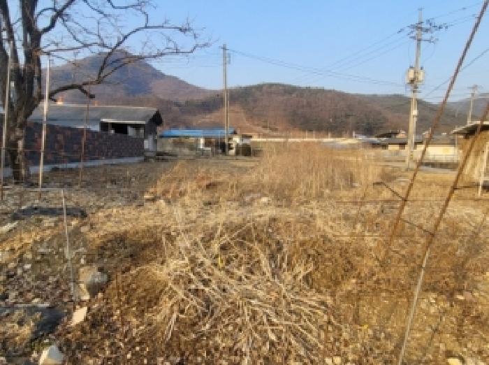 2026타경50128 사진