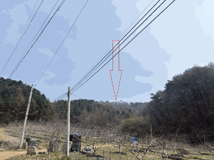 2026타경50131 사진