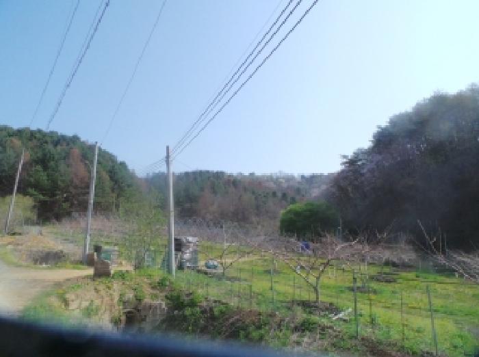 2026타경50131 사진