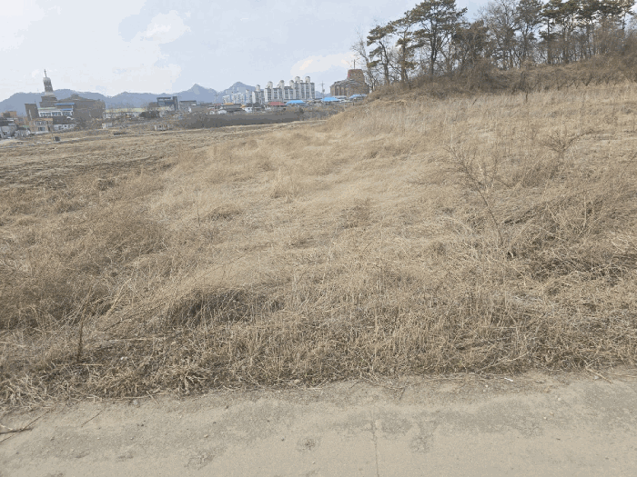 2026타경50135 사진