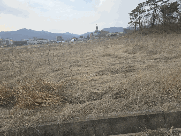 2026타경50135 사진