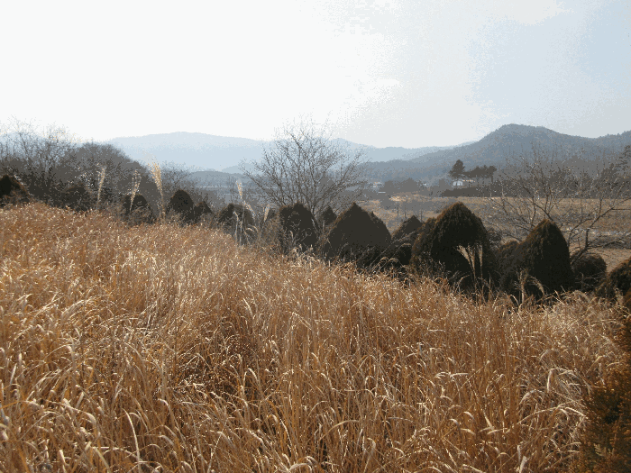 2026타경50136 사진