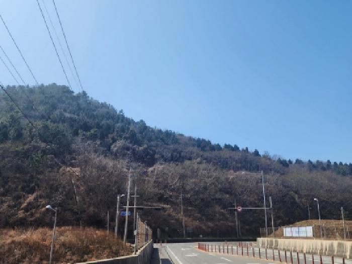 2026타경50186 사진