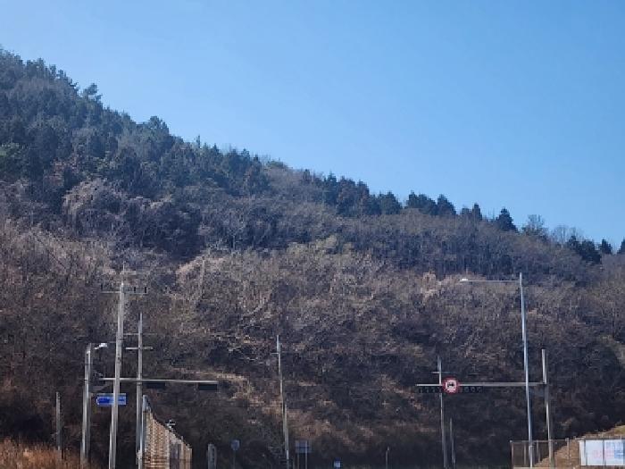2026타경50186 사진