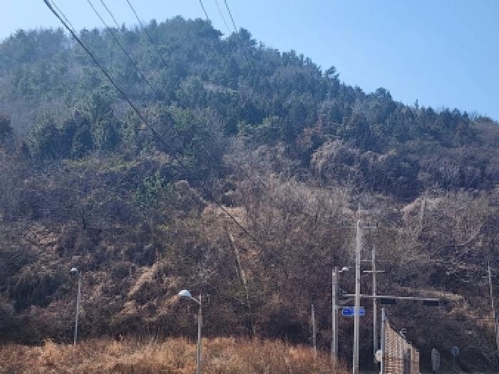 2026타경50186 사진