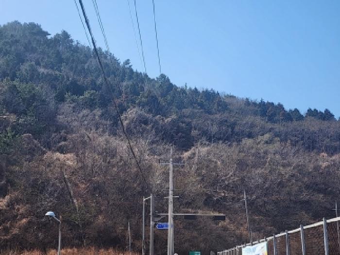 2026타경50186 사진