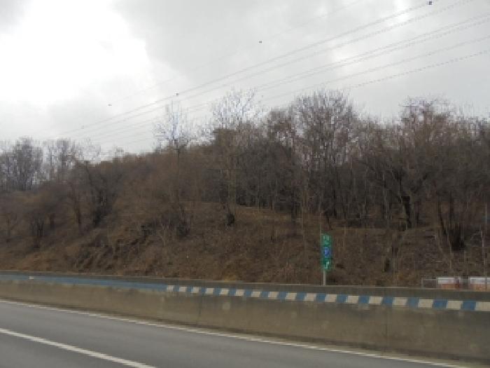 2026타경50207 사진