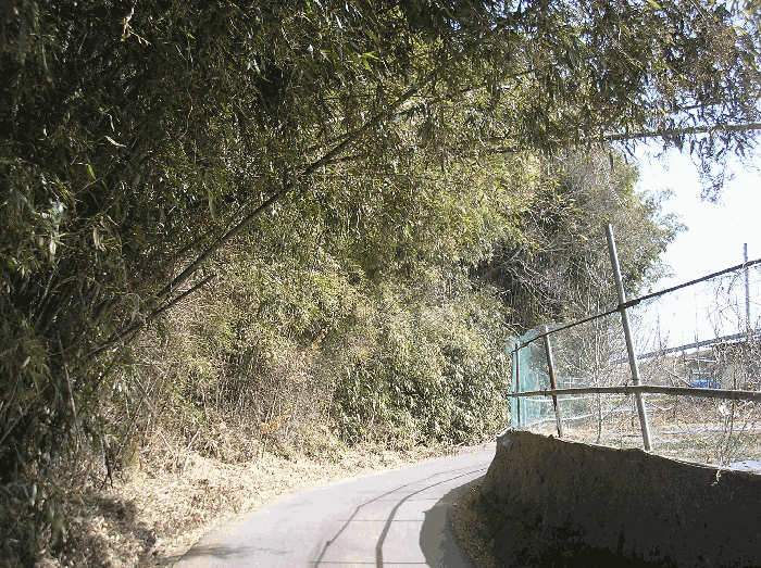 2026타경50209 사진