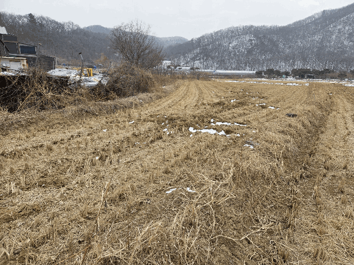 2026타경50223 사진