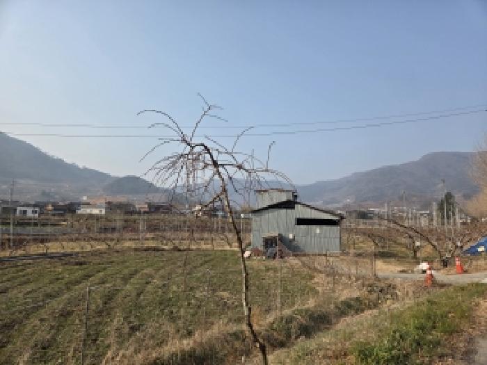 2026타경50277 사진