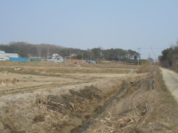 2026타경50333 사진