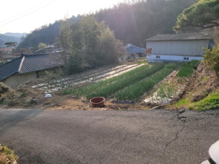 2026타경50353 사진