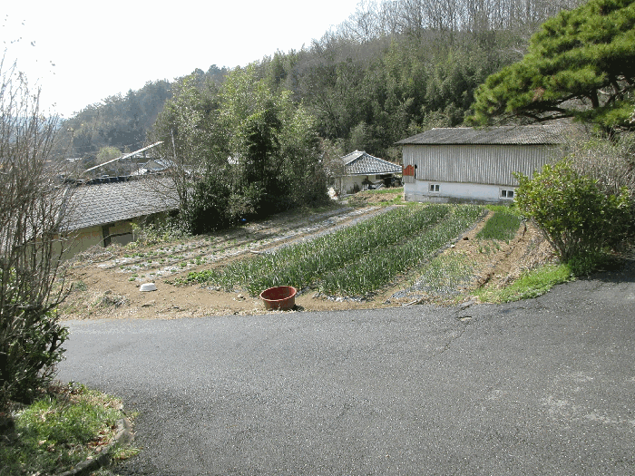 2026타경50353 사진