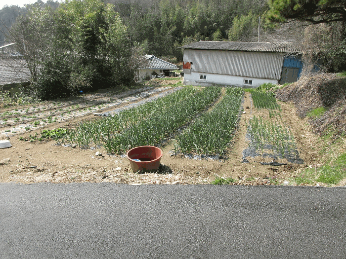 2026타경50353 사진