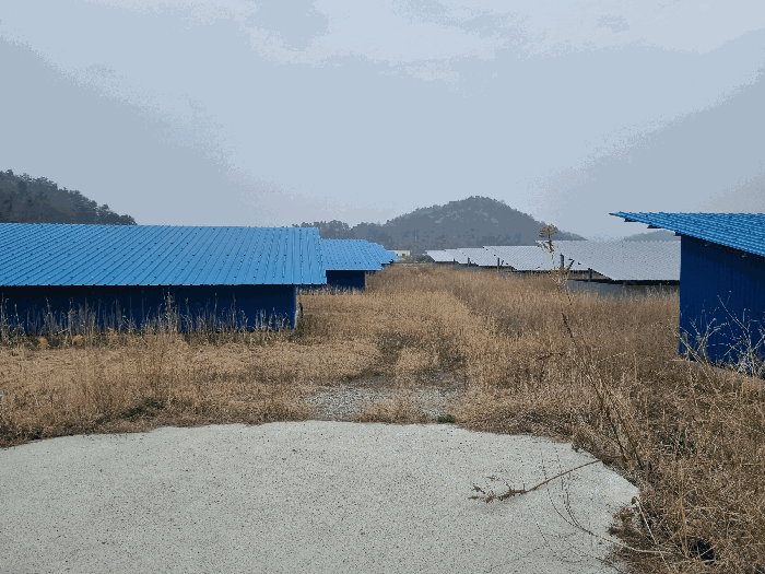 2026타경50369 사진