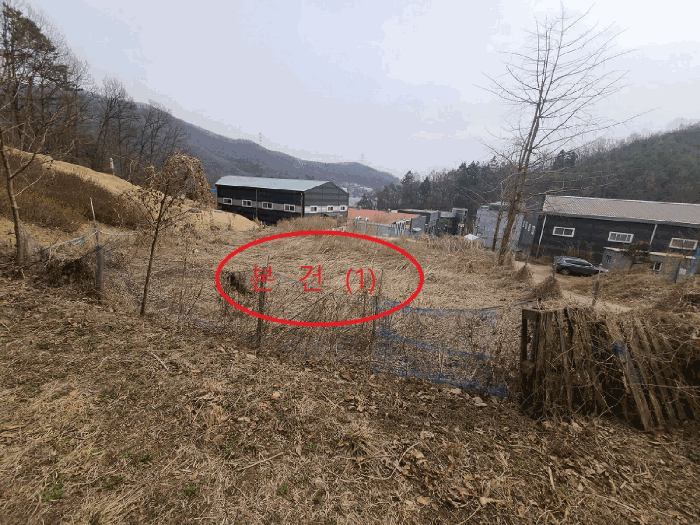 2026타경50377 사진