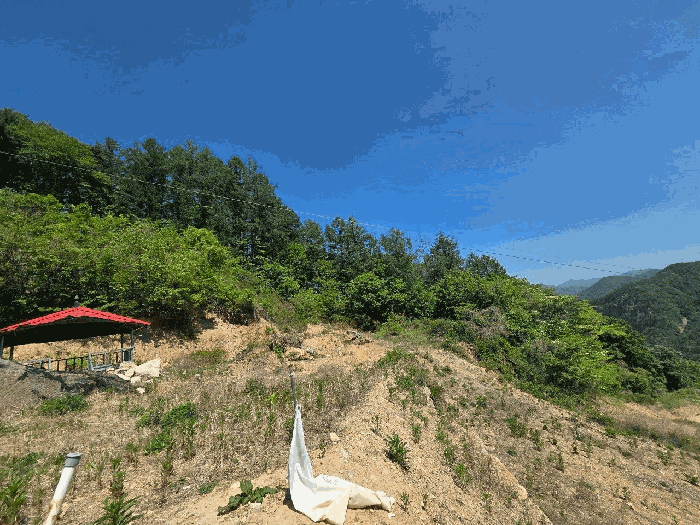 2026타경50393 사진