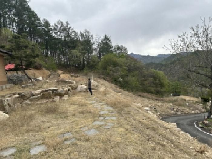 2026타경50393 사진
