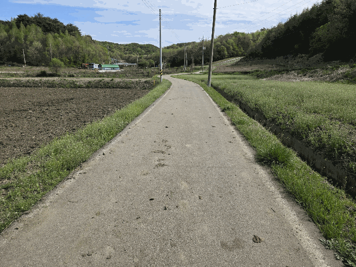 2026타경50402 사진