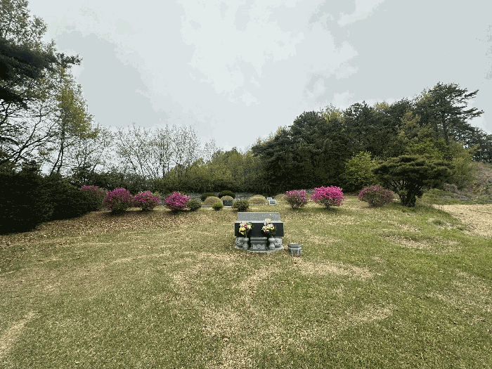 2026타경50407 사진