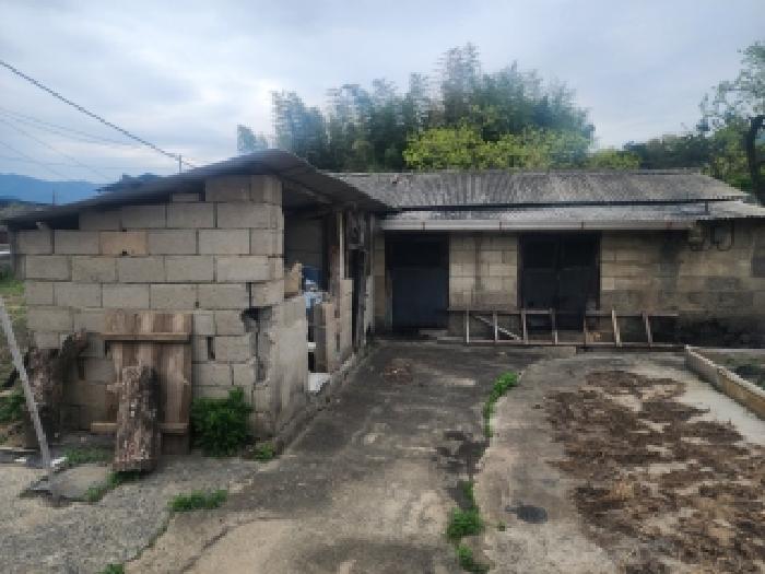 2026타경50445 사진