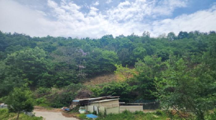 2026타경50458 사진