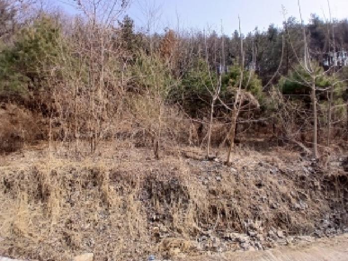 2026타경50459 사진