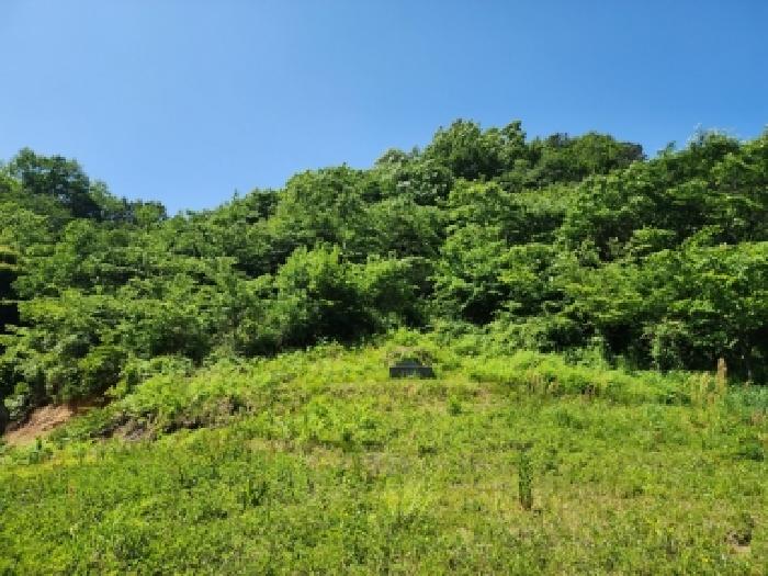 2026타경50630 사진
