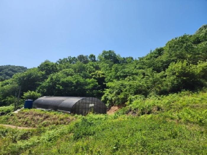 2026타경50630 사진
