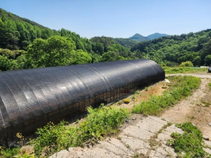2026타경50630 사진