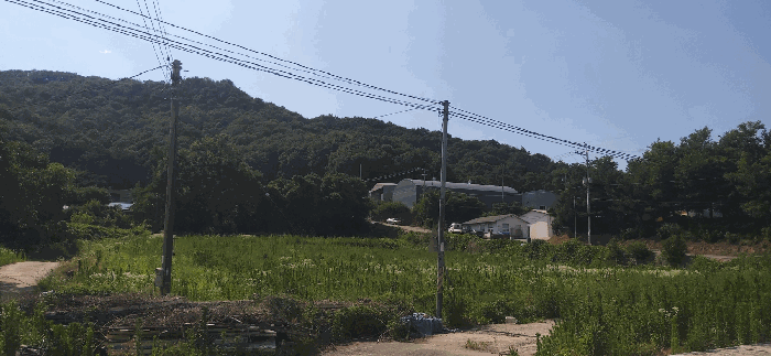 2026타경50638 사진