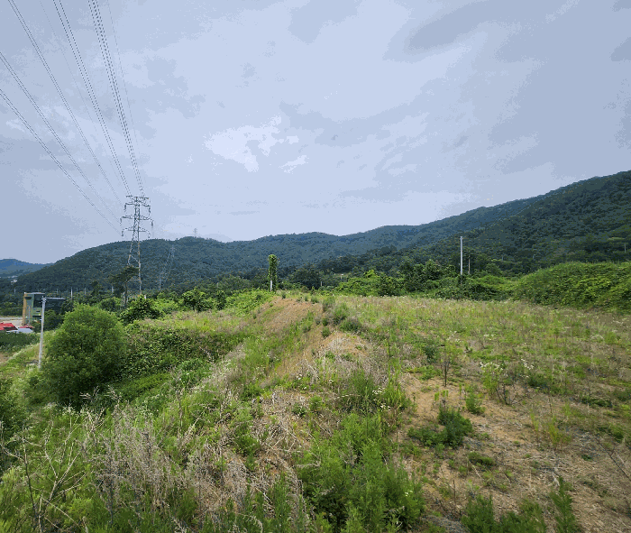 2026타경50678 사진