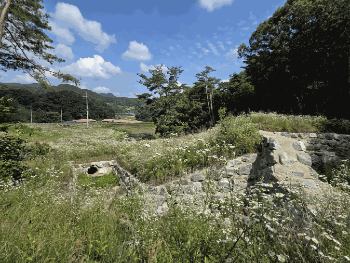2026타경50684 사진
