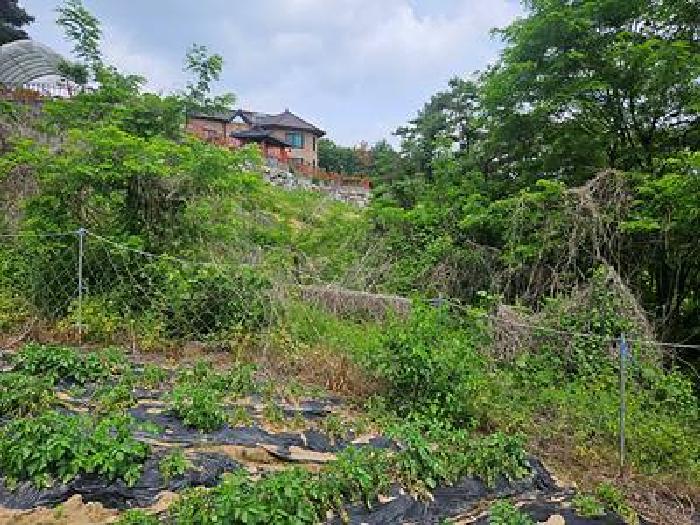 2026타경50852 사진