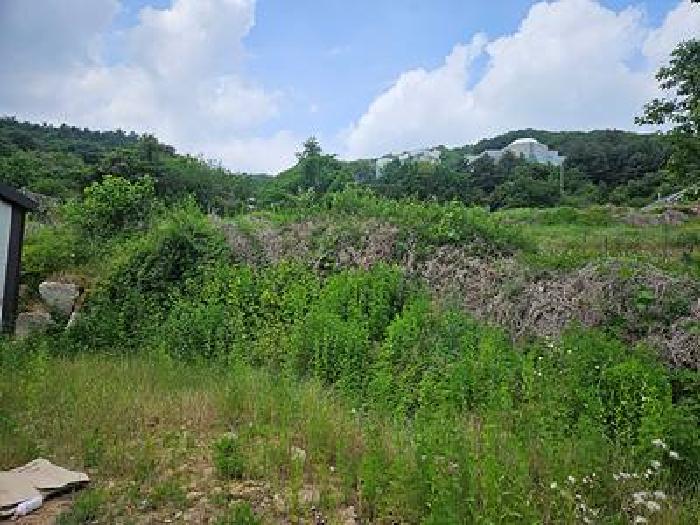 2026타경50852 사진