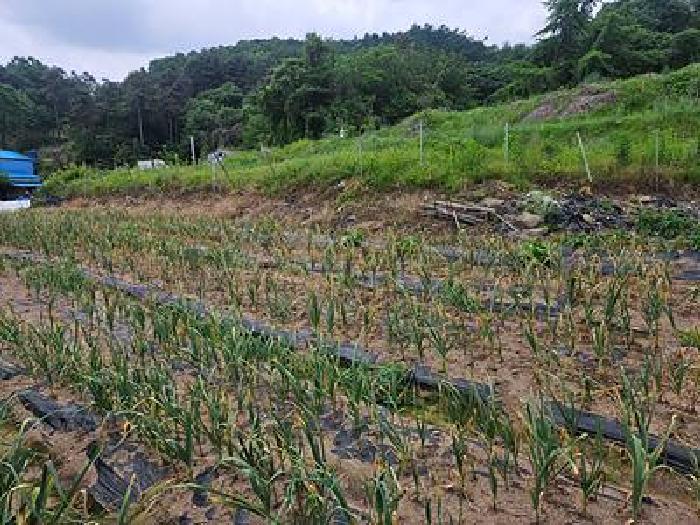 2026타경50852 사진