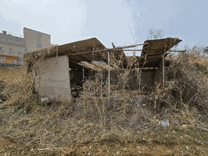 2026타경60746 사진