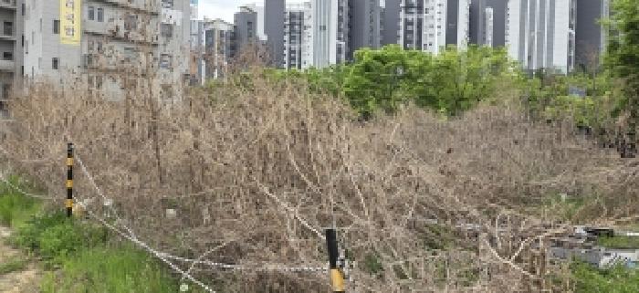 2026타경61028 사진