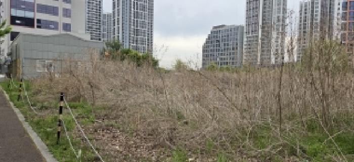 2026타경61028 사진