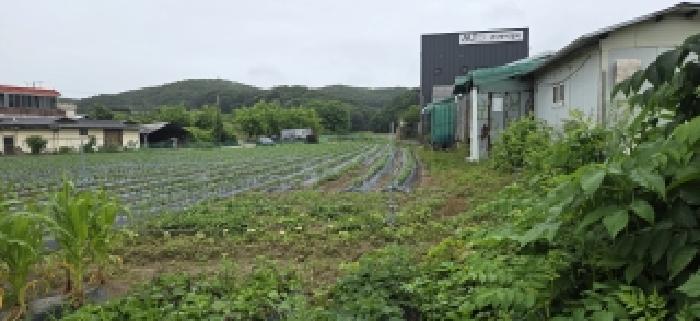 2026타경61106 사진