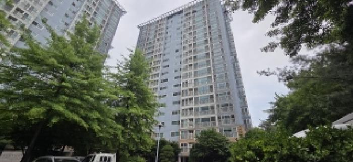 2026타경61198 사진