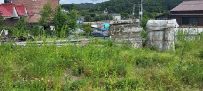 2026타경61271 사진