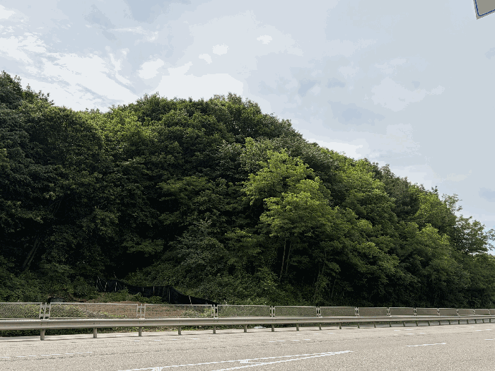 2026타경61303 사진