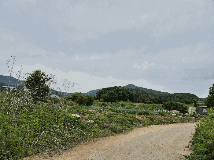 2026타경61326 사진