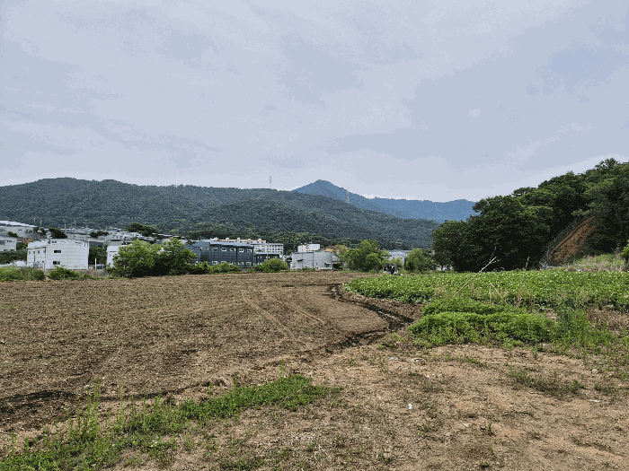 2026타경61326 사진